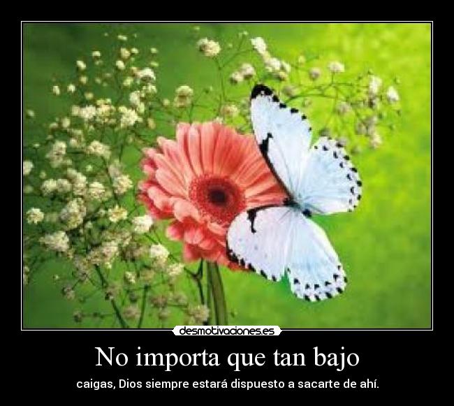 No importa que tan bajo -