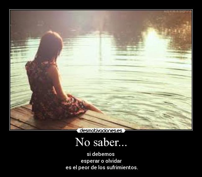 No saber... - si debemos 
esperar o olvidar
 es el peor de los sufrimientos.