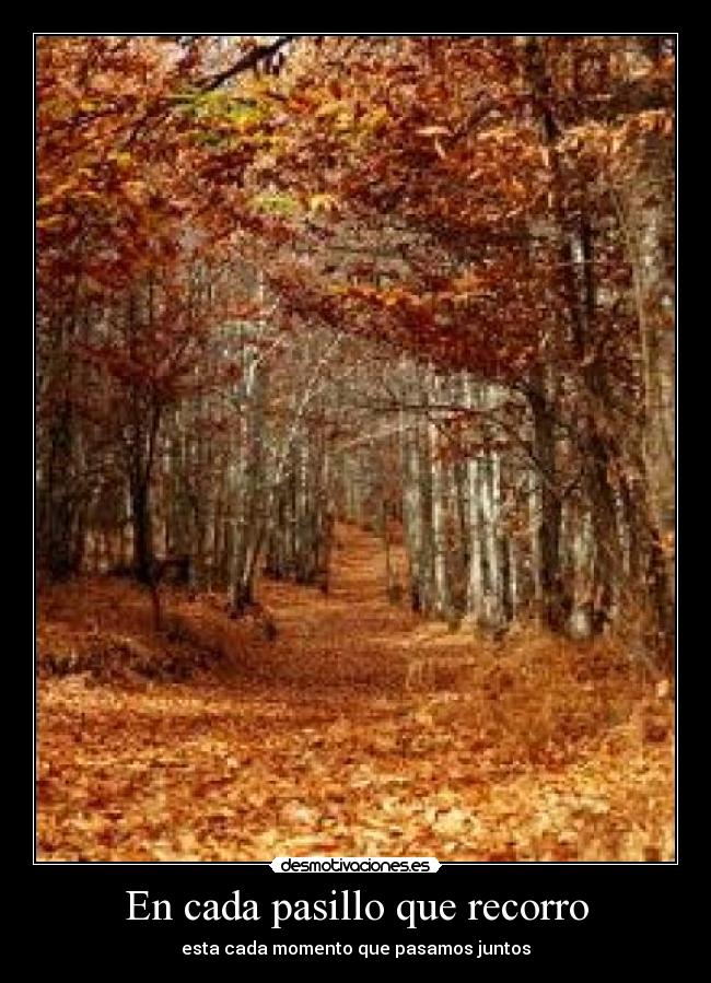 En cada pasillo que recorro -