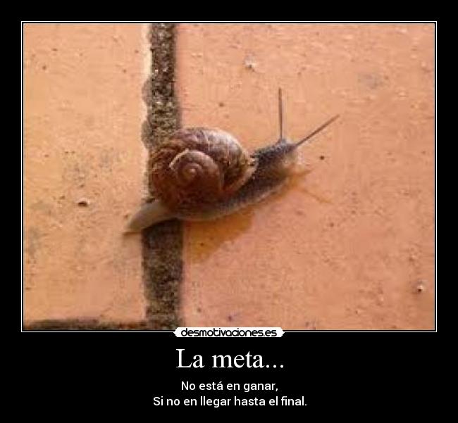 La meta... - No está en ganar,
Si no en llegar hasta el final.