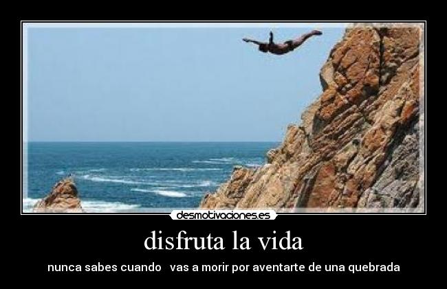 carteles vida bianca victoria cruz desmotivaciones