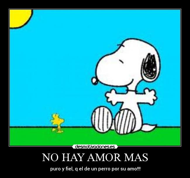 NO HAY AMOR MAS -