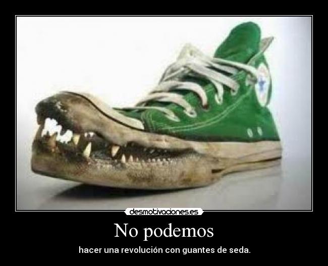 No podemos - hacer una revolución con guantes de seda.
