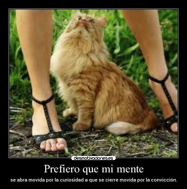 Prefiero que mi mente - se abra movida por la curiosidad a que se cierre movida por la convicción.