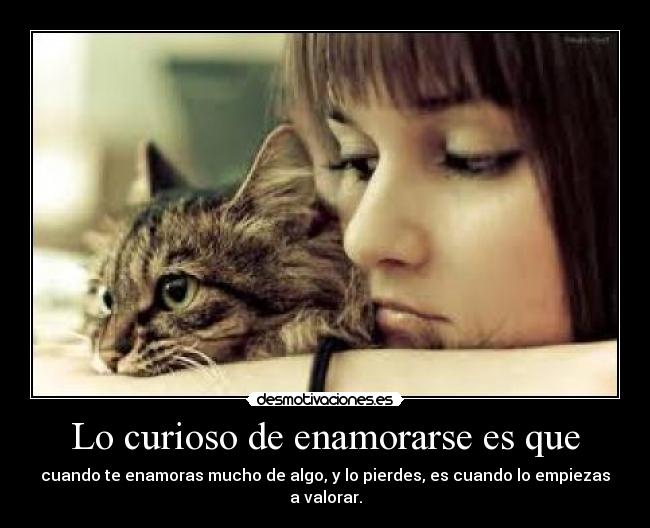 Lo curioso de enamorarse es que - 