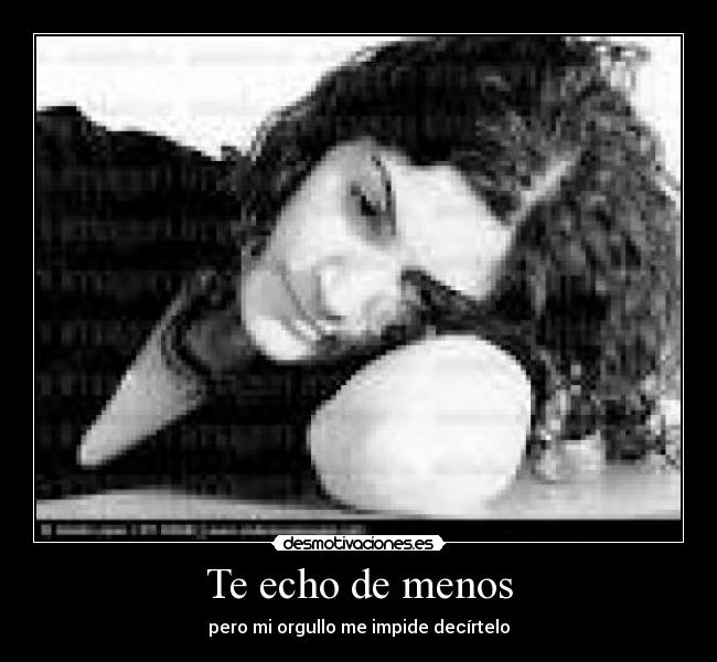 Te echo de menos - 