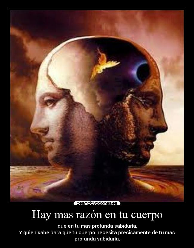 Hay mas razón en tu cuerpo -