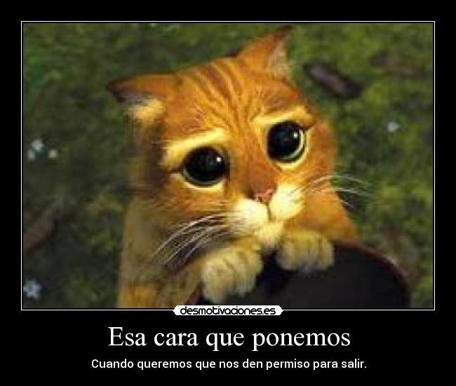 Esa cara que ponemos - Cuando queremos que nos den permiso para salir.
