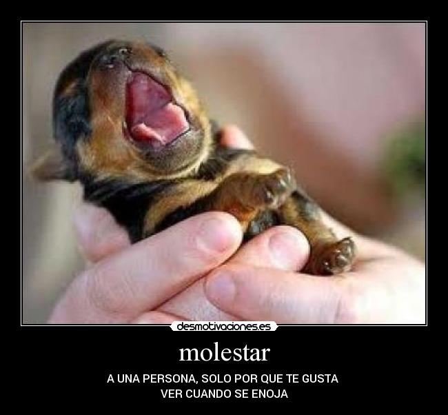 molestar -