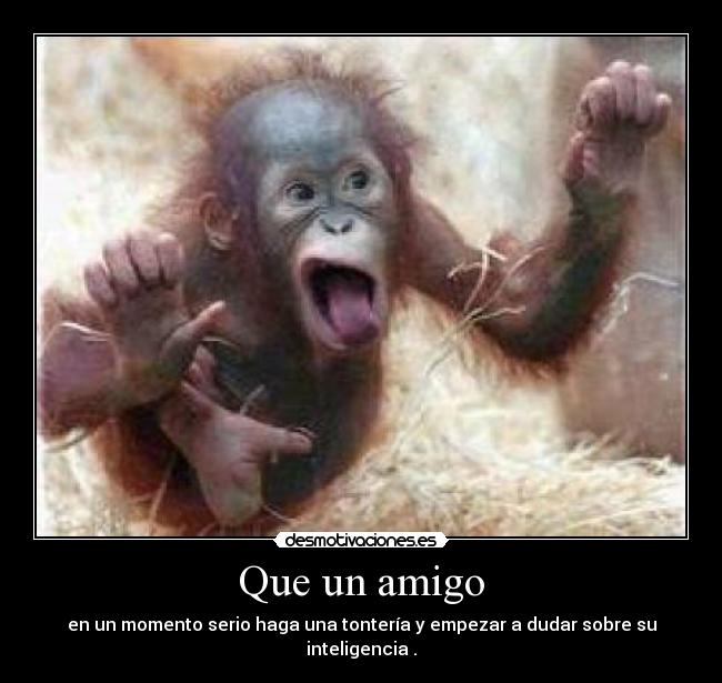 Que un amigo - en un momento serio haga una tontería y empezar a dudar sobre su inteligencia .