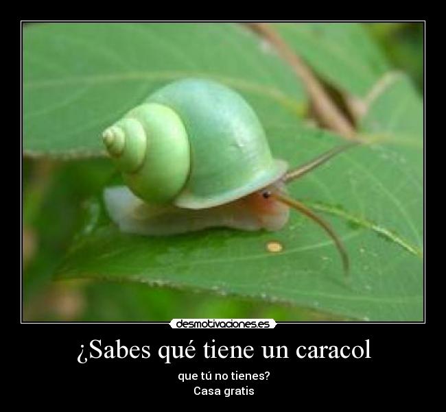 carteles misetiquetassonmias aburro ver cuantos votos negativos recibe desmotivaciones