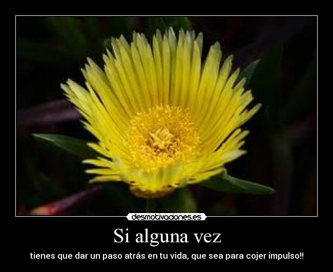 Si alguna vez - tienes que dar un paso atrás en tu vida, que sea para cojer impulso!!