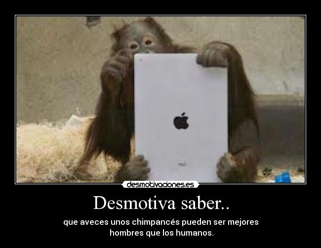 carteles priscila mena desmotivaciones