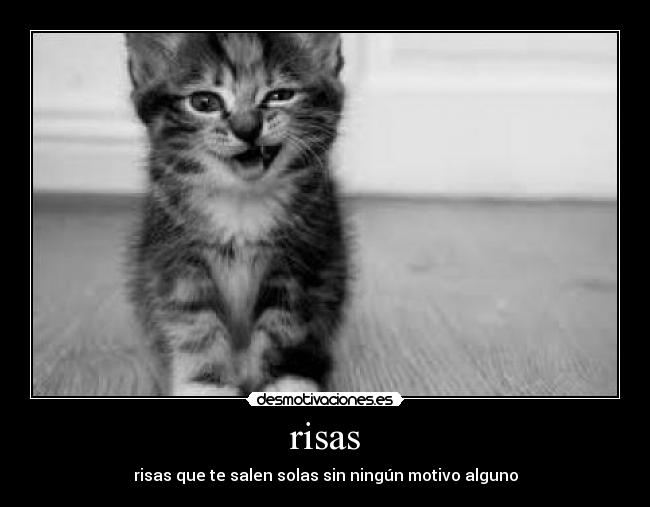 risas -