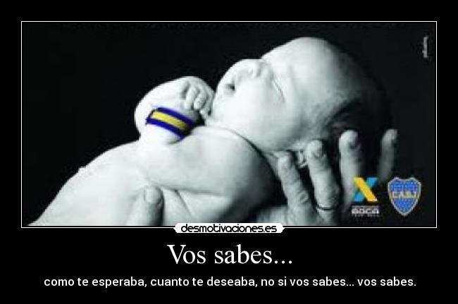 Vos sabes... - como te esperaba, cuanto te deseaba, no si vos sabes... vos sabes.