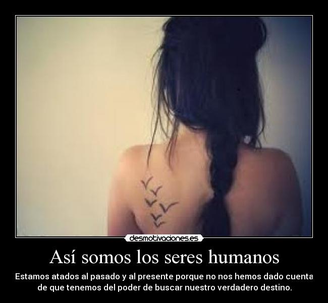 carteles awwws desmotivaciones