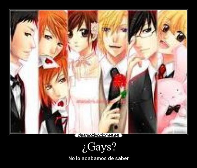 ¿Gays? -