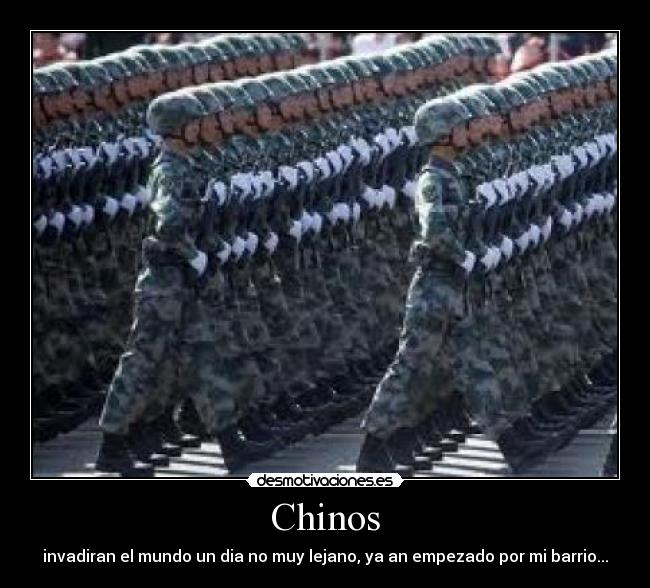 Chinos - 