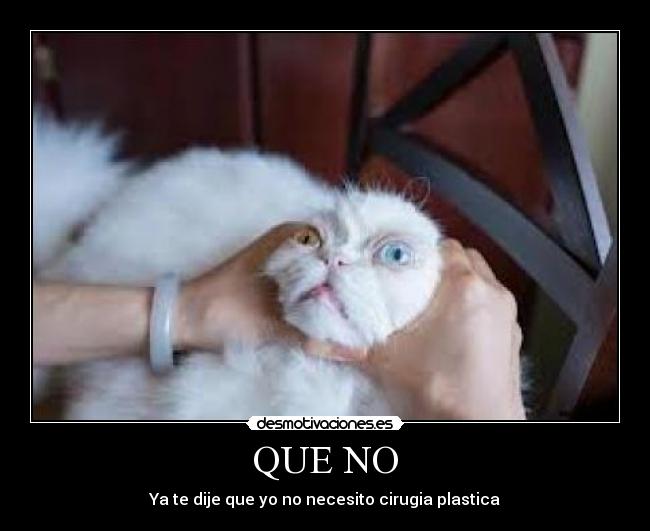 QUE NO - Ya te dije que yo no necesito cirugia plastica