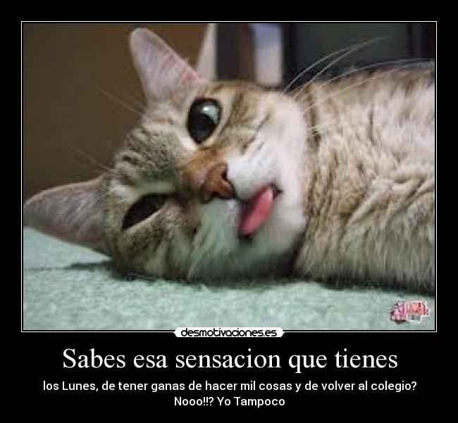 Sabes esa sensacion que tienes -