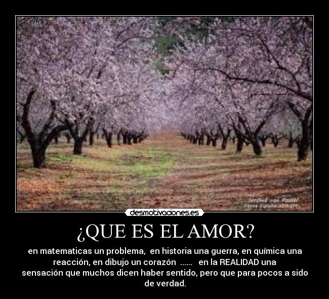 ¿QUE ES EL AMOR? - en matematicas un problema, en historia una guerra, en química una
reacción, en dibujo un corazón ...... en la REALIDAD una
sensación que muchos dicen haber sentido, pero que para pocos a sido
de verdad.