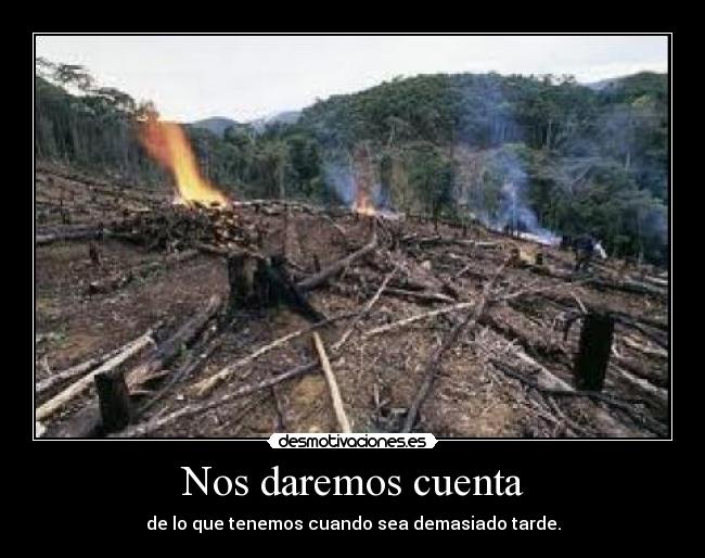 Nos daremos cuenta - de lo que tenemos cuando sea demasiado tarde.