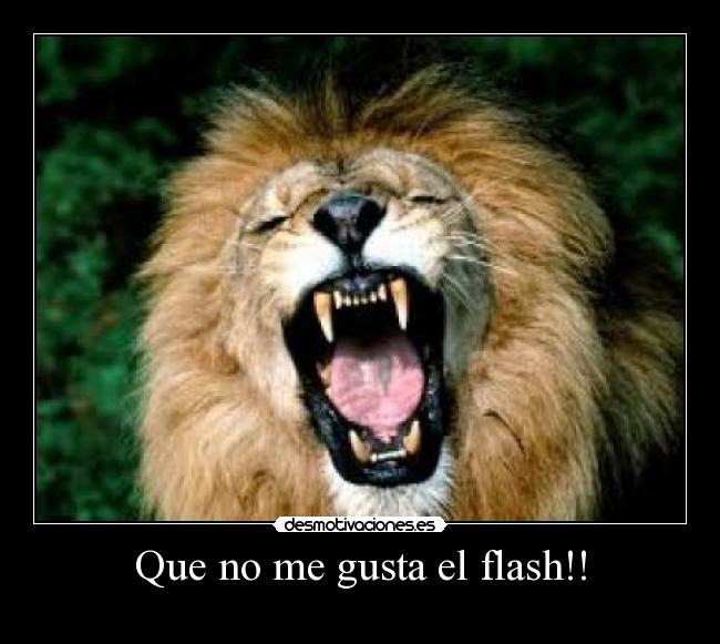 Que no me gusta el flash!! -