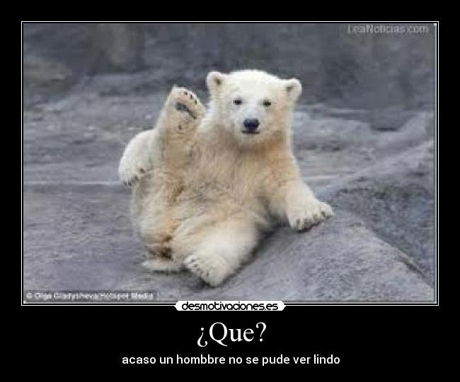 ¿Que? - 