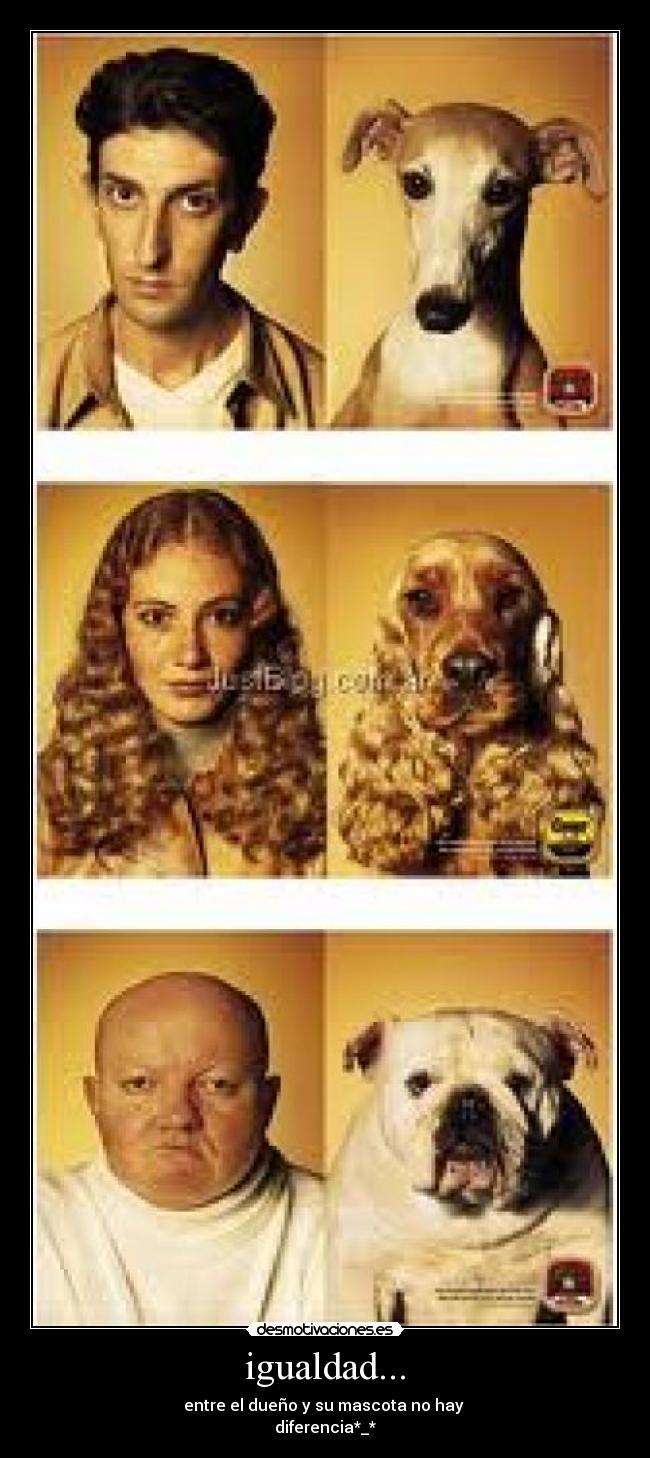 carteles mdda desmotivaciones