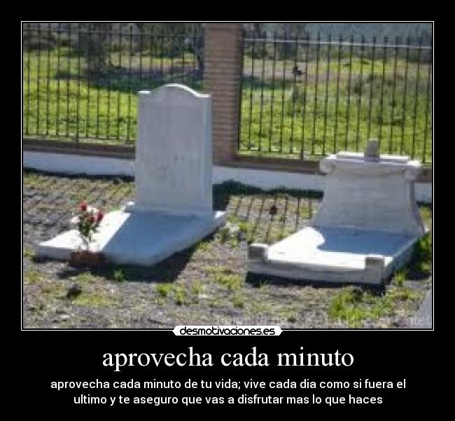 aprovecha cada minuto - aprovecha cada minuto de tu vida; vive cada dia como si fuera el
ultimo y te aseguro que vas a disfrutar mas lo que haces