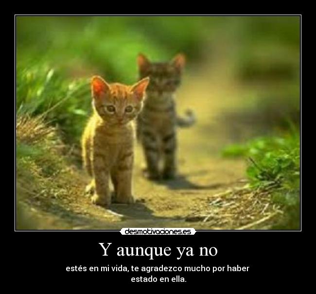 Y aunque ya no - estés en mi vida, te agradezco mucho por haber
estado en ella.