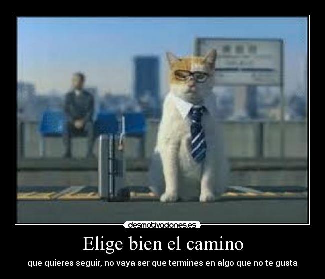 Elige bien el camino -