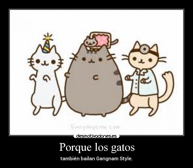 Porque los gatos -
