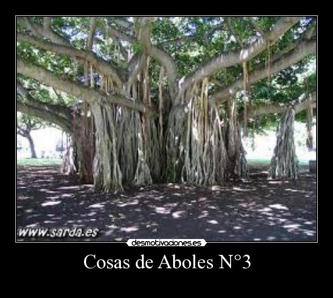 carteles arbolitos desmotivaciones