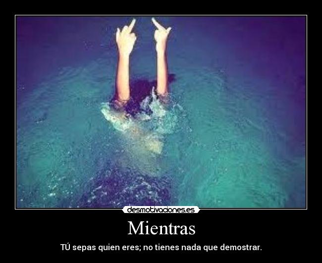 Mientras - TÚ sepas quien eres; no tienes nada que demostrar.