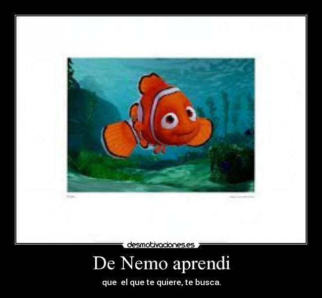 De Nemo aprendi - 