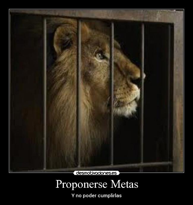 Proponerse Metas -
