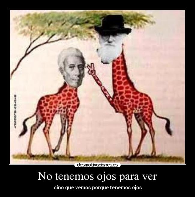 No tenemos ojos para ver - sino que vemos porque tenemos ojos