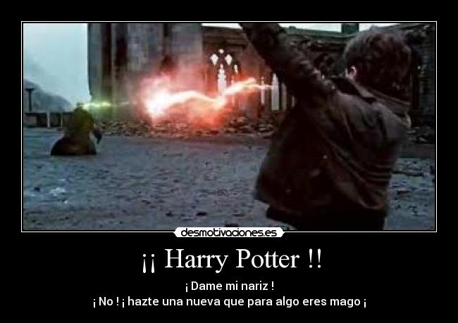 ¡¡ Harry Potter !! -