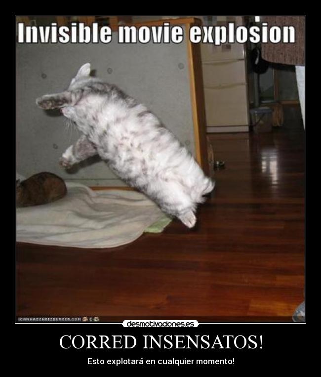 carteles gatosexplosion correr desmotivaciones