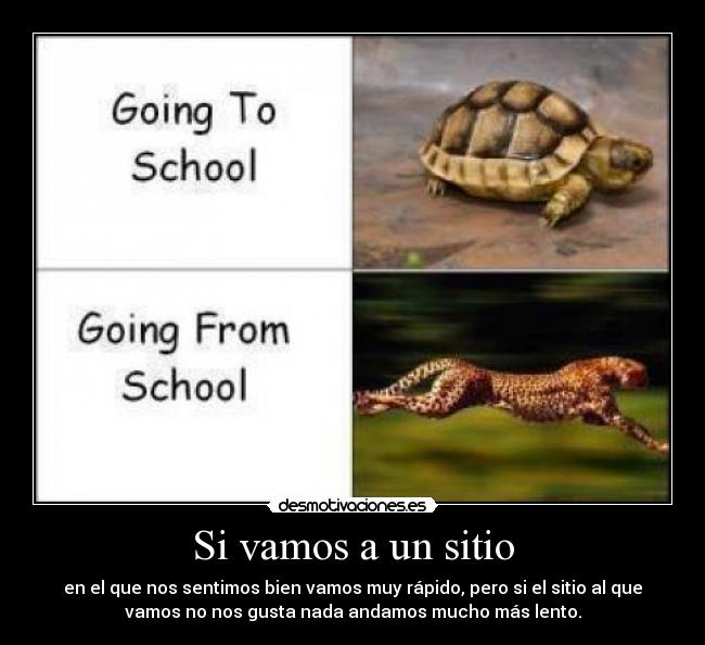 carteles hizo gracia imagen desmotivaciones