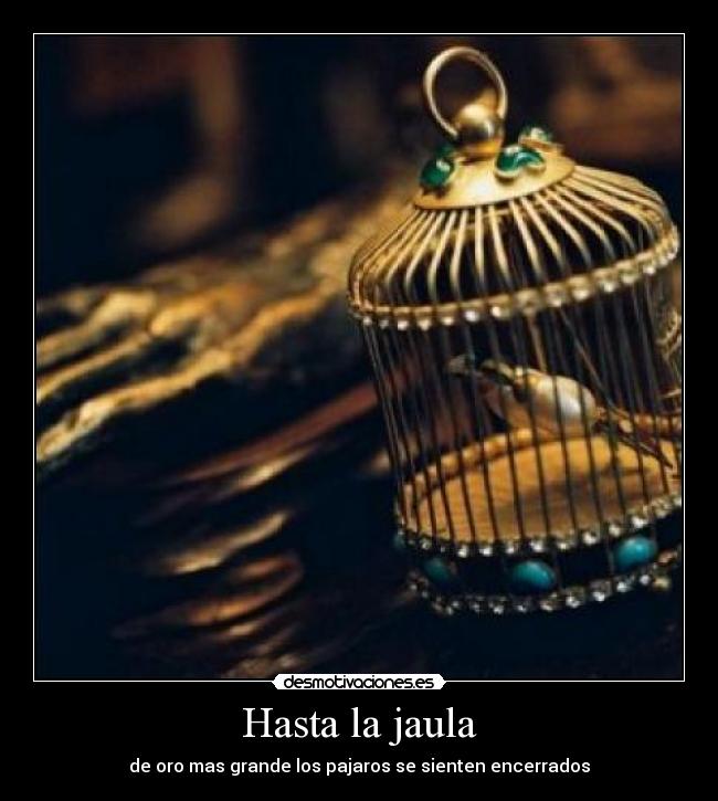 Hasta la jaula - de oro mas grande los pajaros se sienten encerrados