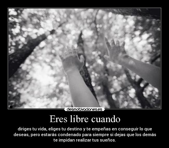 Eres libre cuando - 