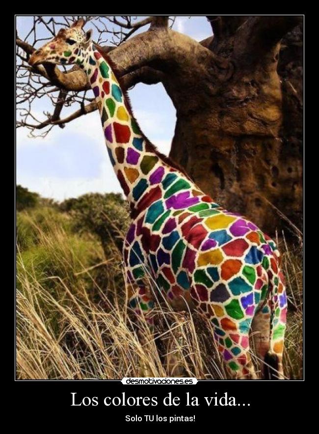 Los colores de la vida... - Solo TU los pintas!