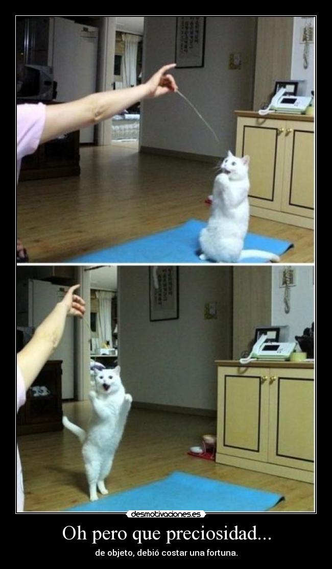 Oh pero que preciosidad... -