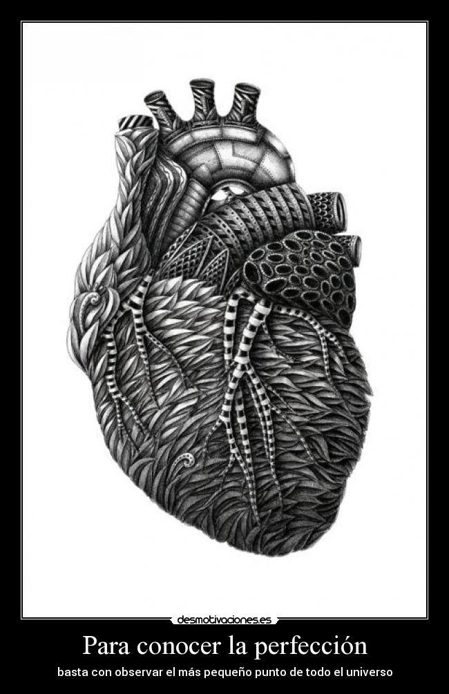 Para conocer la perfección - basta con observar el más pequeño punto de todo el universo