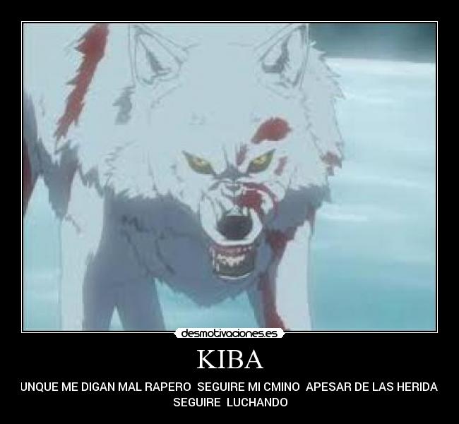 KIBA -