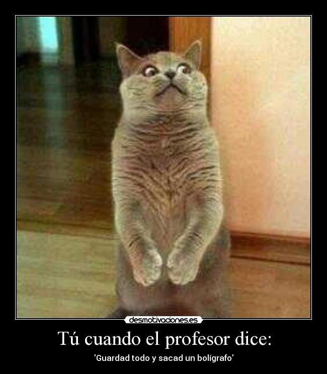 Tú cuando el profesor dice: - Guardad todo y sacad un bolígrafo