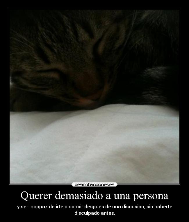 Querer demasiado a una persona - y ser incapaz de irte a dormir después de una discusión, sin haberte
disculpado antes.