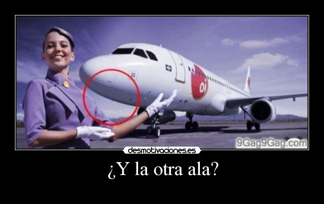 ¿Y la otra ala? -